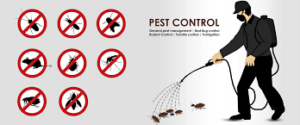 muscat pest control